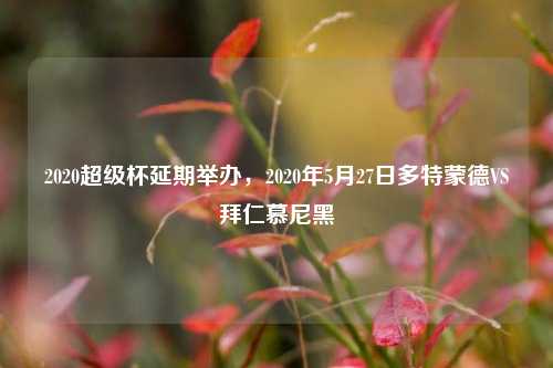 2020超级杯延期举办，2020年5月27日多特蒙德VS拜仁慕尼黑