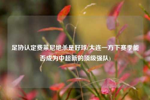 足协认定费莱尼绝杀是好球(大连一方下赛季能否成为中超新的顶级强队)