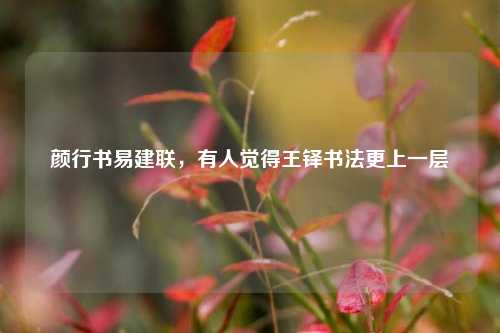 颜行书易建联，有人觉得王铎书法更上一层