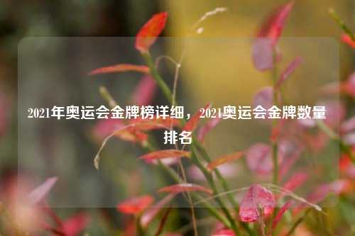 2021年奥运会金牌榜详细,2021奥运会金牌数量排名