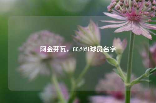 阿金芬瓦,fifa2021球员名字