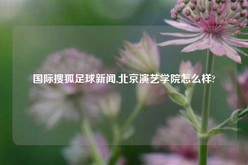 国际搜狐足球新闻,北京演艺学院怎么样?