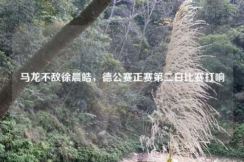 马龙不敌徐晨皓，德公赛正赛第二日比赛打响