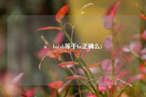 n ba(ab等于ba正确么)