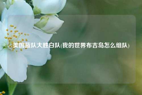 美国蓝队大胜白队(我的世界布吉岛怎么组队)