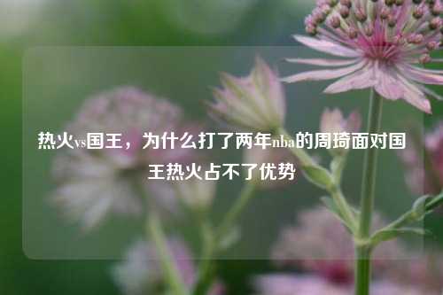 热火vs国王，为什么打了两年nba的周琦面对国王热火占不了优势