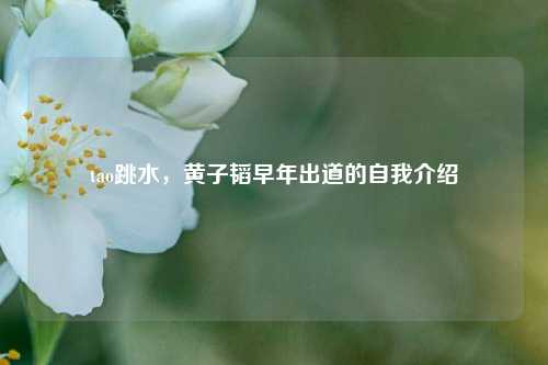 tao跳水,黄子韬早年出道的自我介绍
