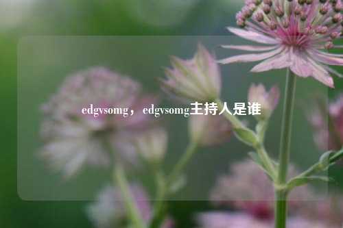 edgvsomg，edgvsomg主持人是谁