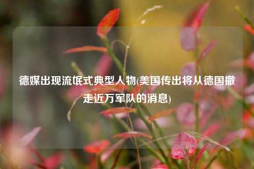 德媒出现流氓式典型人物(美国传出将从德国撤走近万军队的消息)