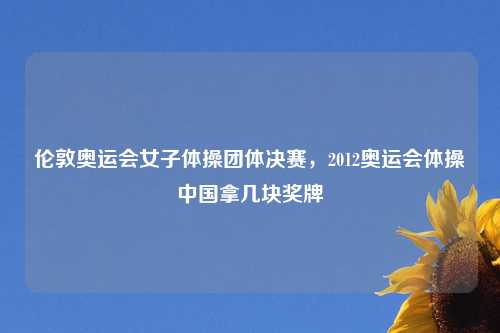 伦敦奥运会女子体操团体决赛，2012奥运会体操中国拿几块奖牌