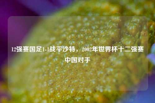 12强赛国足1-1战平沙特,2002年世界杯十二强赛中国对手