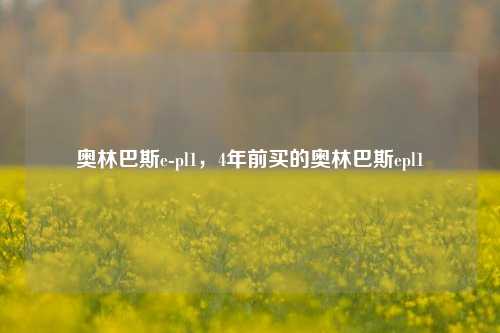 奥林巴斯e-pl1,4年前买的奥林巴斯epl1