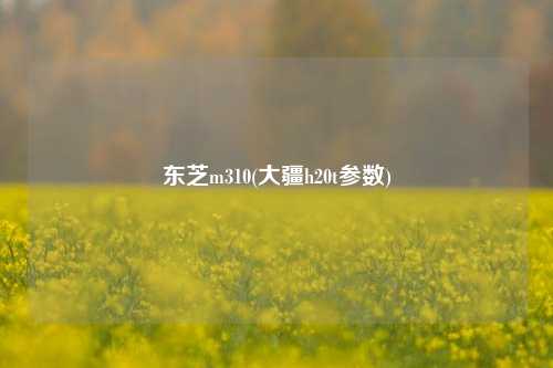 东芝m310(大疆h20t参数)