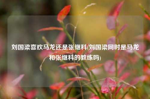 刘国梁喜欢马龙还是张继科(刘国梁同时是马龙和张继科的教练吗)