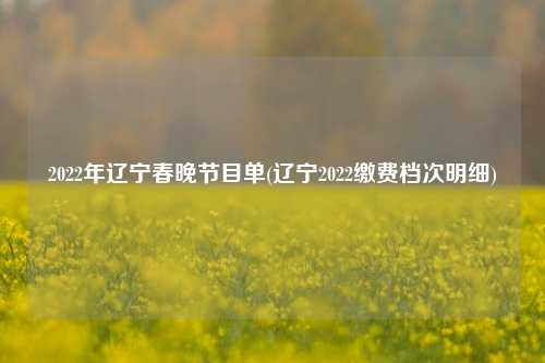 2022年辽宁春晚节目单(辽宁2022缴费档次明细)