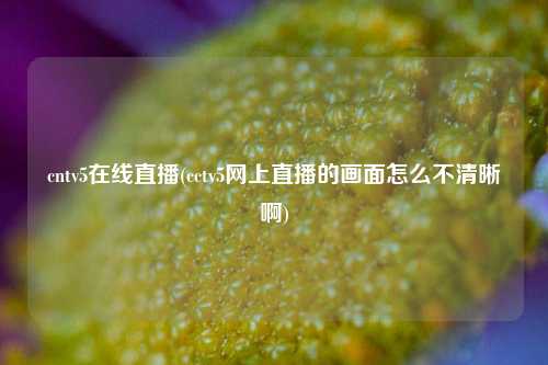 cntv5在线直播(cctv5网上直播的画面怎么不清晰啊)