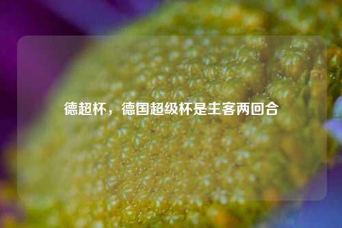 德超杯,德国超级杯是主客两回合