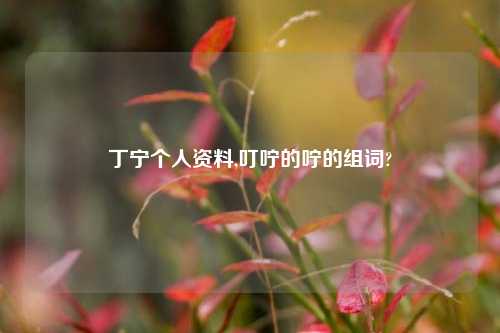 丁宁个人资料,叮咛的咛的组词?