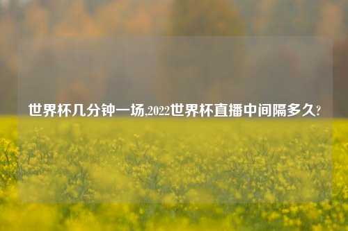 世界杯几分钟一场,2022世界杯直播中间隔多久?