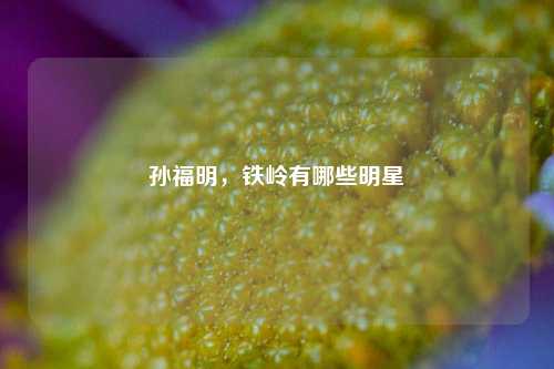 孙福明，铁岭有哪些明星