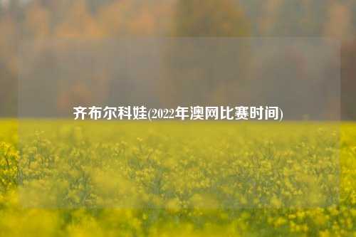 齐布尔科娃(2022年澳网比赛时间)