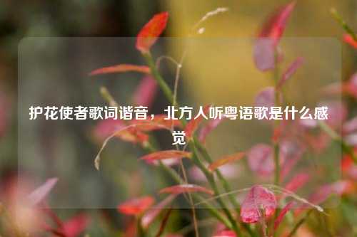 护花使者歌词谐音,北方人听粤语歌是什么感觉