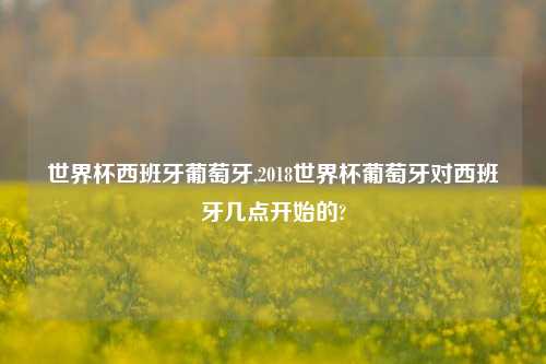 世界杯西班牙葡萄牙,2018世界杯葡萄牙对西班牙几点开始的?