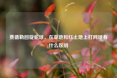 费德勒回旋蛇球，在草地和红土地上打网球有什么区别