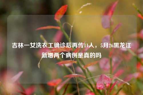 吉林一女洗衣工确诊后再传11人,5月26黑龙江新增两个病例是真的吗