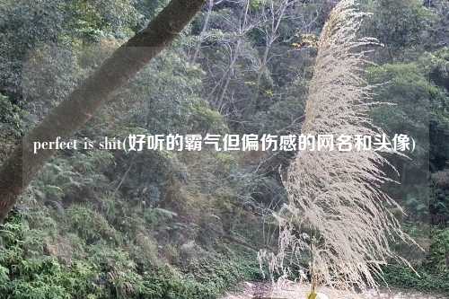 perfect is shit(好听的霸气但偏伤感的网名和头像)