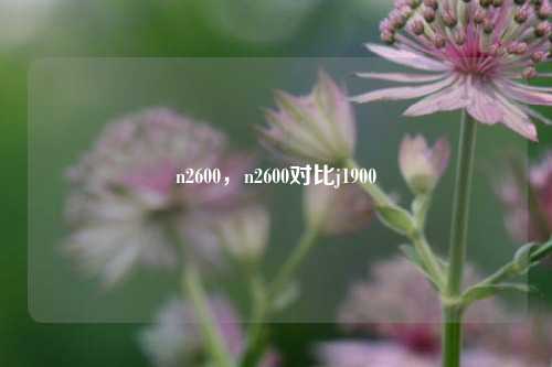 n2600,n2600对比j1900