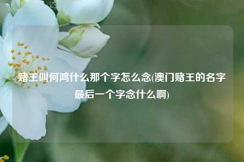 赌王叫何鸿什么那个字怎么念(澳门赌王的名字最后一个字念什么啊)