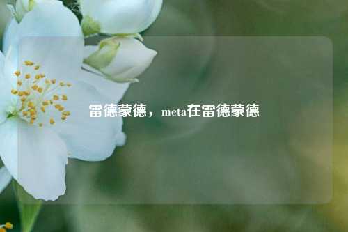 雷德蒙德,meta在雷德蒙德
