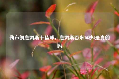 勒布朗詹姆斯十佳球,詹姆斯百米10秒4是真的吗