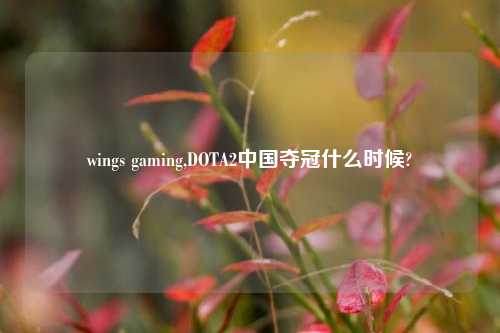 wings gaming,DOTA2中国夺冠什么时候?
