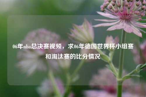 06年nba总决赛视频,求06年德国世界杯小组赛和淘汰赛的比分情况