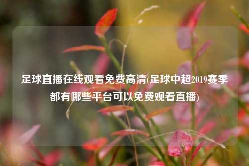 足球直播在线观看免费高清(足球中超2019赛季都有哪些平台可以免费观看直播)