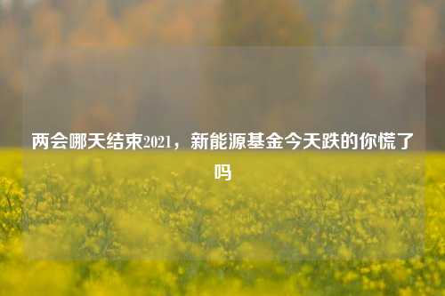 两会哪天结束2021,新能源基金今天跌的你慌了吗