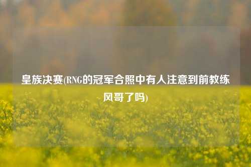 皇族决赛(RNG的冠军合照中有人注意到前教练风哥了吗)