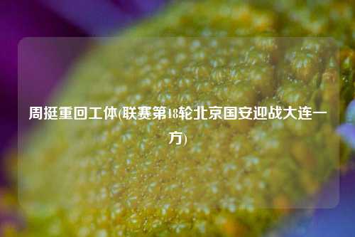 周挺重回工体(联赛第18轮北京国安迎战大连一方)
