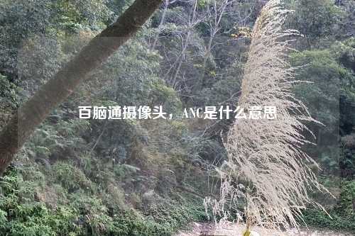 百脑通摄像头,ANC是什么意思