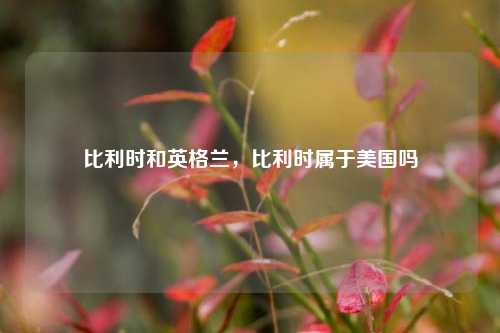 比利时和英格兰,比利时属于美国吗
