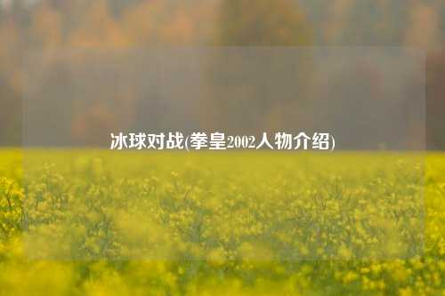 冰球对战(拳皇2002人物介绍)