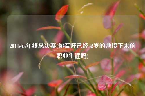 2014wta年终总决赛(你看好已经32岁的她接下来的职业生涯吗)