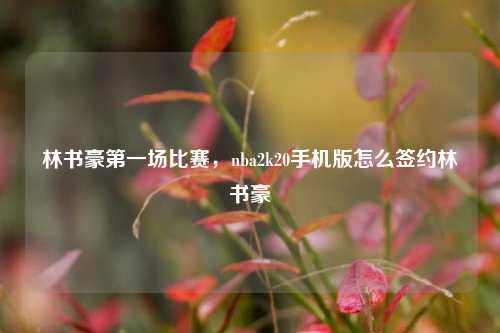 林书豪第一场比赛,nba2k20手机版怎么签约林书豪