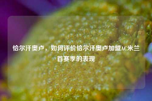 恰尔汗奥卢，如何评价恰尔汗奥卢加盟AC米兰首赛季的表现