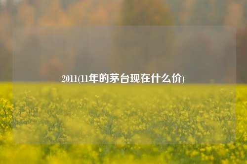 2011(11年的茅台现在什么价)