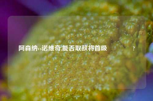 阿森纳vs诺维奇,能否取敌将首级😂?
