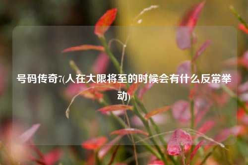 号码传奇7(人在大限将至的时候会有什么反常举动)