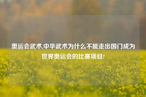 奥运会武术,中华武术为什么不能走出国门成为世界奥运会的比赛项目?